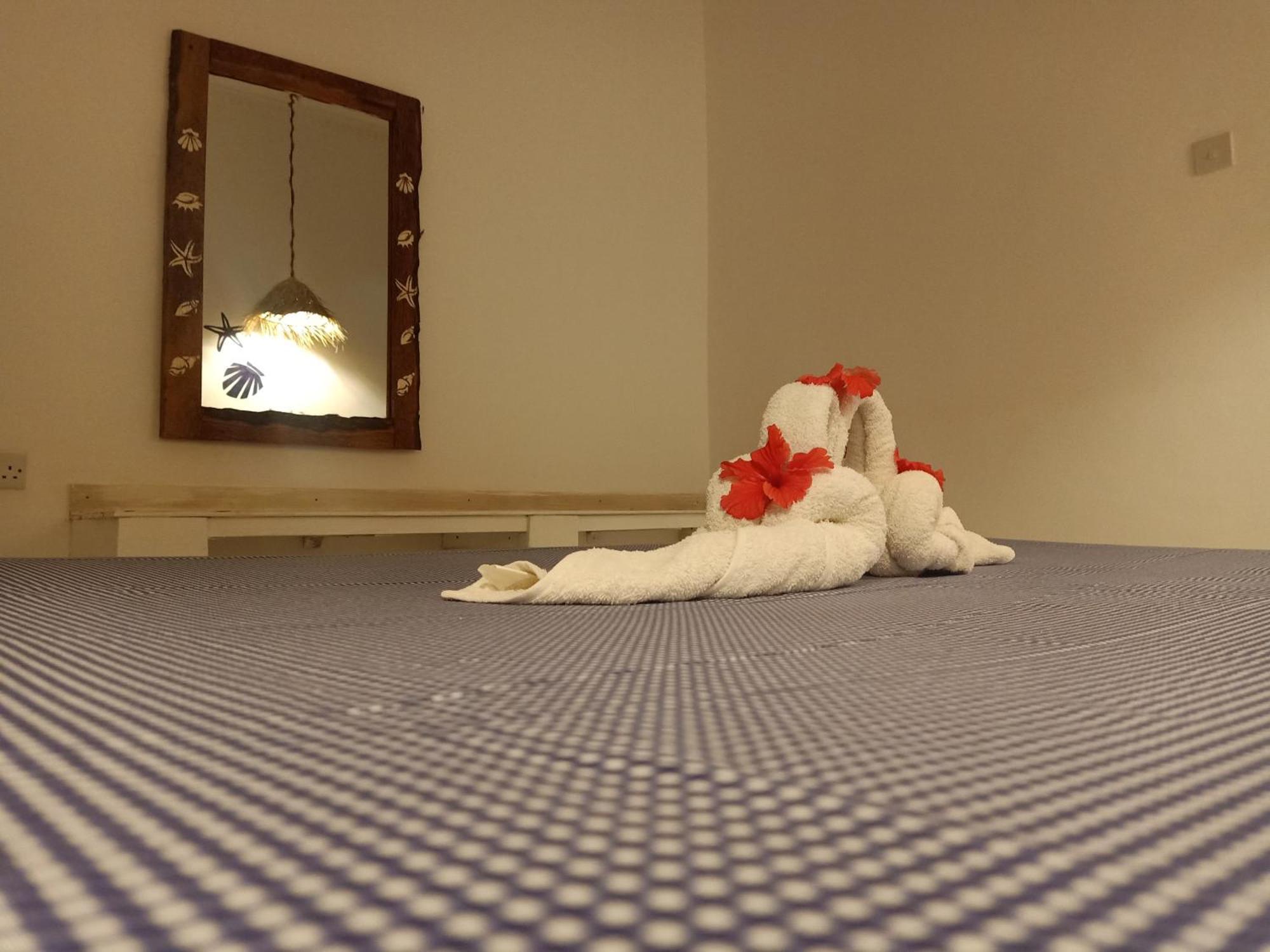 Ocean Breeze Airbnb Hotel Nungwi Buitenkant foto